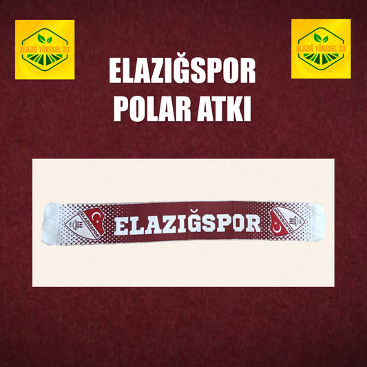 ELAZIĞSPOR POLAR TARAFTAR ATKISI